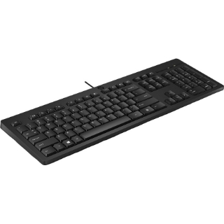 Picture of HP 125 Keyboard