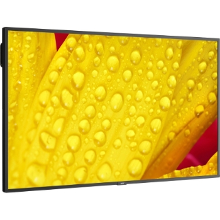 Picture of NEC Display 43" Ultra High Definition Commercial Display