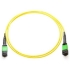 Picture of Axiom MPO Male to MPO Male Singlemode 9/125 Fiber Optic Cable - 25m