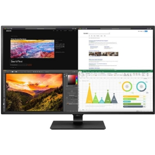 Picture of LG 43BN70U-B 42.5" 4K UHD LED LCD Monitor - 16:9 - Matte Black