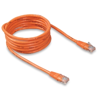 Picture of Belkin High Performance Cat. 6 UTP Network Patch Cable