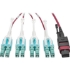 Picture of Tripp Lite 5M MTP MPO 8xLC 50/125 OM4 Fanout Patch Cable 12 Fiber 40GB CMP