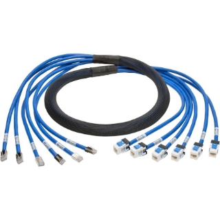 Picture of Tripp Lite 6ft Augmented Cat6 Cat6a Pre-Terminated Copper trunk Bundle 6xRJ45 M/F 6'