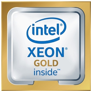 Picture of HPE Intel Xeon Gold (2nd Gen) 6208U Hexadeca-core (16 Core) 2.90 GHz Processor Upgrade