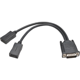 Picture of Tripp Lite 1ft DMS-59 to Dual DisplayPort Splitter Y Cable M/Fx2