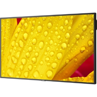 Picture of Sharp NEC Display 65" Ultra High Definition Commercial Display