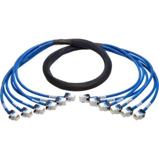 Picture of Tripp Lite 10ft Augmented Cat6 Cat6a Pre-Terminated Copper Trunk Bundle 6xRJ45 F/F 10'