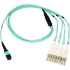 Picture of Axiom MPO Female to 4 LC Multimode OM4 50/125 Fiber Optic Breakout Cable - 40m