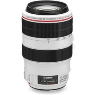 Picture of Canon EF 4426B002 - 70 mm to 300 mm - f/5.6 - Telephoto Zoom Lens for Canon EF/EF-S