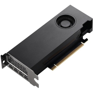Picture of PNY NVIDIA RTX A2000 Graphic Card - 6 GB GDDR6 - Low-profile