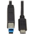 Picture of Tripp Lite USB C to USB Type B Cable USB Type C 3.1 Gen 2, 10 Gbps M/M 20in