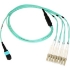 Picture of Axiom MPO Female to 4 LC Multimode OM4 50/125 Fiber Optic Breakout Cable - 2m