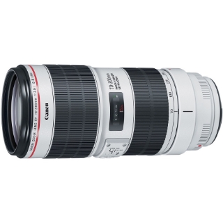 Picture of Canon - 70 mm to 200 mm - f/2.8 - Telephoto Zoom Lens for Canon EF