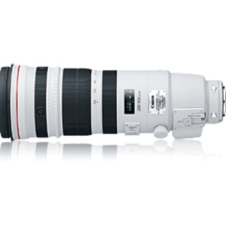 Picture of Canon - 200 mm to 400 mm - f/4 - Super Telephoto Zoom Lens for Canon EF/EF-S