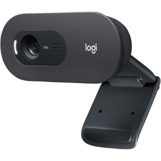Picture of Logitech C505 Webcam - 30 fps - USB Type A