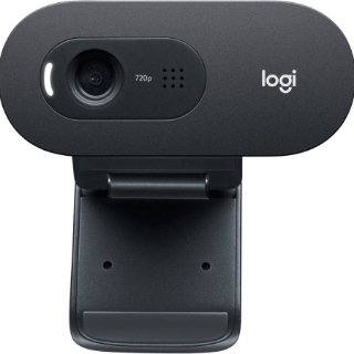 Picture of Logitech C505e Webcam - 30 fps - USB