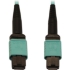 Picture of Tripp Lite N844B-03M-12-P Fiber Optic Network Cable