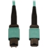 Picture of Tripp Lite N842B-05M-12-MF Fiber Optic Network Cable