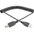 Picture of Tripp Lite 6ft Hi-Speed USB 2.0 to USB B Cable Coiled USB A-B M/M 6'