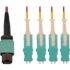 Picture of Tripp Lite N845-02M-4S-MG Fiber Optic Network Cable