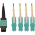 Picture of Tripp Lite N845-03M-4S-MG Fiber Optic Network Cable
