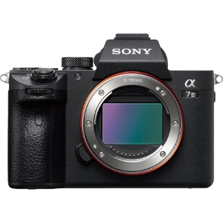 Picture of Sony Alpha a7 III 24.2 Megapixel Mirrorless Camera Body Only