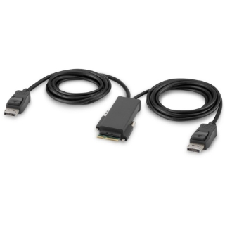 Picture of Belkin DisplayPort Dual-Head Console Cable