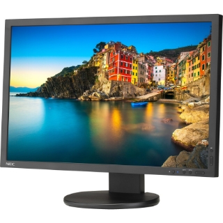 Picture of NEC Display SpectraViewII P243W-BK-SV 24.1" WUXGA WLED LCD Monitor - 16:10